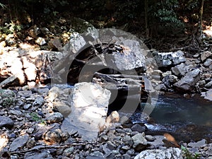 Natural Bridge Circuit, Springbrook