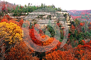 Natural bridge park in fall