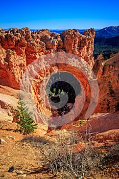 Natural Bridge Point, Bryce Canyon National Park, Utah