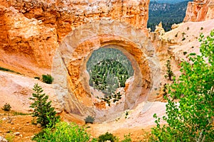 Natural bridge rock formation