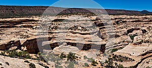 Natural Bridges National Monument