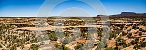 Natural Bridges National Monument