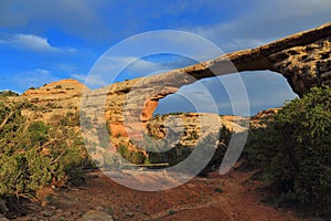 Natural Bridges National Monument with Evening Sun on Owachomo Bridge from Armstrong Canyon Trail, Southwest Desert, Utah