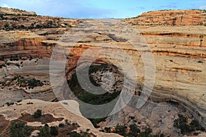 Natural Bridges National Monument, Utah, Sipapu Bridge and Anderson Canyon in Evening Light, Southwest, USA