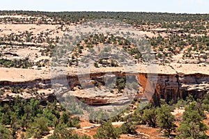 Natural Bridges National Park