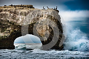 Natural Bridges State Beach