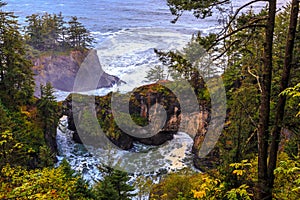 Natural Bridges Viewpoint, Samuel Boardman State Scenic Corridor Oregon