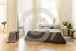 A natural bright apartment interior with wooden floor, white walls and sunny windows. A bed with gray linen and fresh meadow flowe