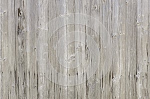 Natural bright grey barn wood wall. Wall texture background pattern. photo