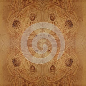 Natural brown oak burl square panel symmetrical grain and knots
