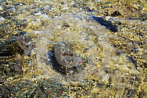 Colorful brown rocks, Elba mountain, water, natural abstract background