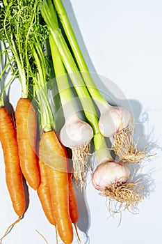 Natural carrots and garlic on a light blue background