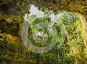 Natural cave with picturesque lianas, Mexico