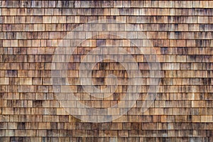 Natural cedar shingle siding