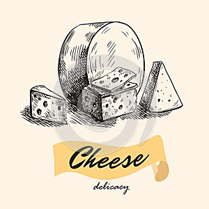 Natural cheese. slice of cheese. cheesemaking