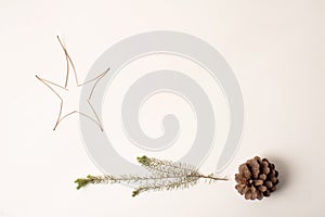 Natural Christmas elements, star with pinnace, bush branch and pine cone. space to write photo