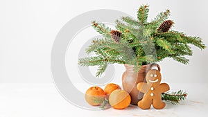 Natural christmas tree branches with cones in retro clay jug vase, baked gingerbread man and fresh tangerines on marble table