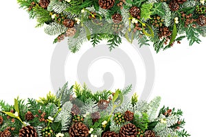 Natural Christmas and Winter Border with Flora and Fauna