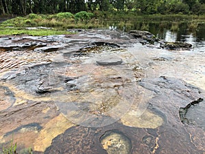 Natural clean water way in the green forest