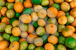 Natural clementines on the floor