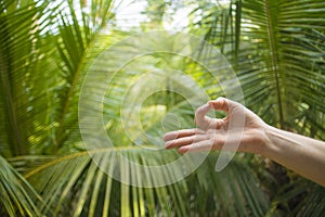 Natural close up hand of woman doing yoga in mudra gyan fingers position isolated on beautiful tropical nature background in