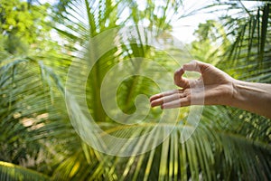 Natural close up hand of woman doing yoga in mudra gyan fingers position isolated on beautiful tropical nature background in