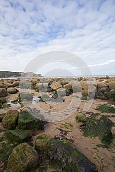 Natural coastal environment image