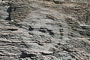 Natural coastal rock formation surface rough material close up textured wall