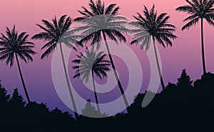 Natural Coconut trees. Mountains horizon hills. Silhouettes of palm trees and hills. Sunrise and sunset. Landscape wallpaper.