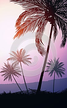 Natural Coconut trees. Mountains horizon hills. Silhouettes of palm trees and hills. Sunrise and sunset. Landscape wallpaper.