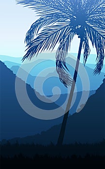 Natural Coconut trees silhouettes of trees Evening Sunrise and sunset Landscape wallpaper Illustration vector