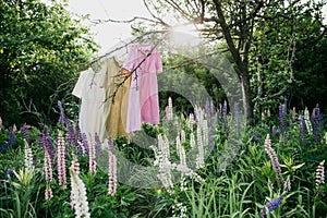 Natural colored dresses hanging on on a tree in the garden with lupine flowers. Concept organic clothes  eco-friendly  ecologica