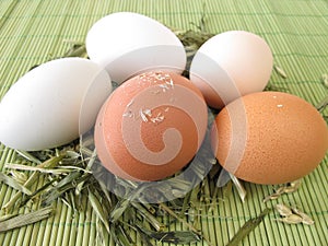 Natural colored eggs in straw photo