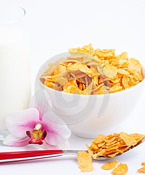 Natural corn flake breakfast cereal in cups and milk is a healthy breakfast that is good for your body every day on a white