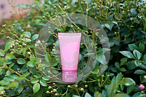 Natural cosmetic cream for body care on a green leaves. pink tube with organic cosmetics from plants for skin care