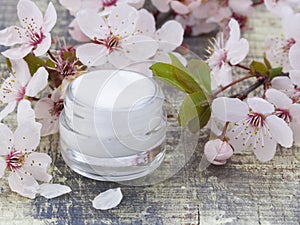 Natural cosmetics, fresh as spring flowers