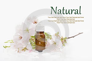 Natural cosmetics - herbal, oil