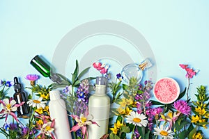 Natural Cosmetics set. Organic products and wild herbs and flowers