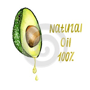 Natural cosmetics for skin care with avocado essential oil. Fresh ripe avocado with jar of avocado oil. Splash of fresh