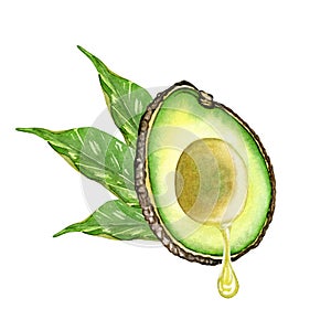 Natural cosmetics for skin care with avocado essential oil. Fresh ripe avocado with jar of avocado oil. Splash of fresh