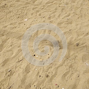 Natural costal beach area sand background foot pprints in srilanka