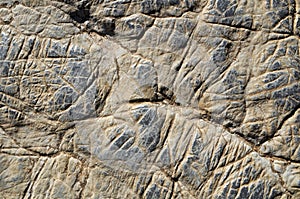 Natural cracks texture