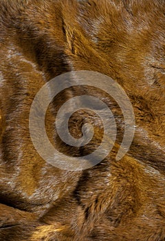 Natural creased fur leather surface