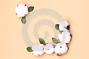 Natural creative pastel concept. Cotone flowers on a beige background photo