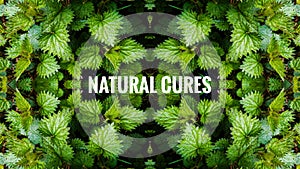 Natural Cures Page Header photo