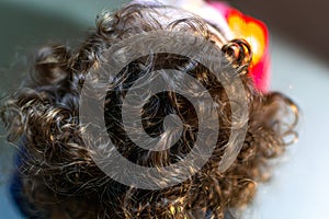Natural curly hair, little girl with light brown curls and golden reflections