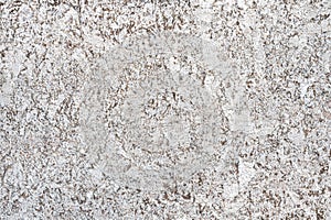 Natural Dalia white stone