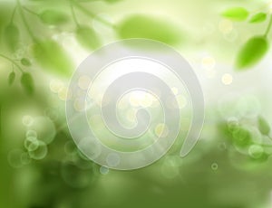 Natural defocus background with plants, trees and bokeh