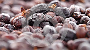 Natural dehydrate fermented coffee beans