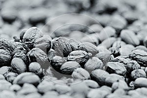 Natural dehydrate fermented coffee beans
